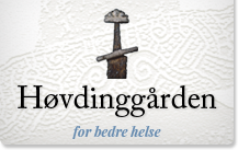 Høvdinggården AS